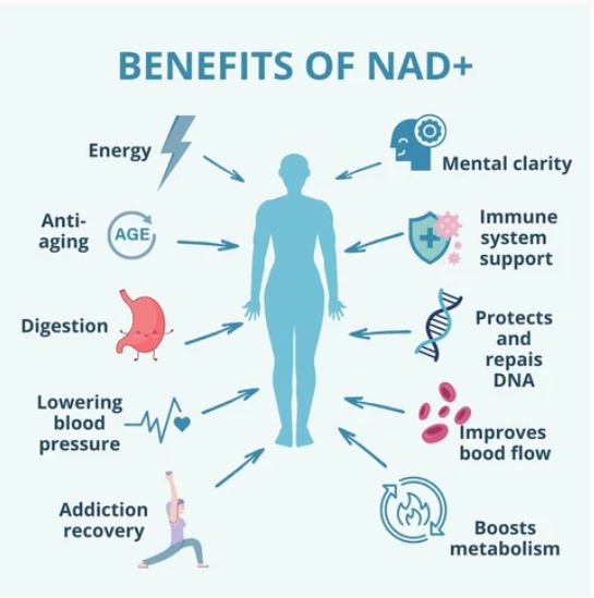 NAD+ IV Therapy